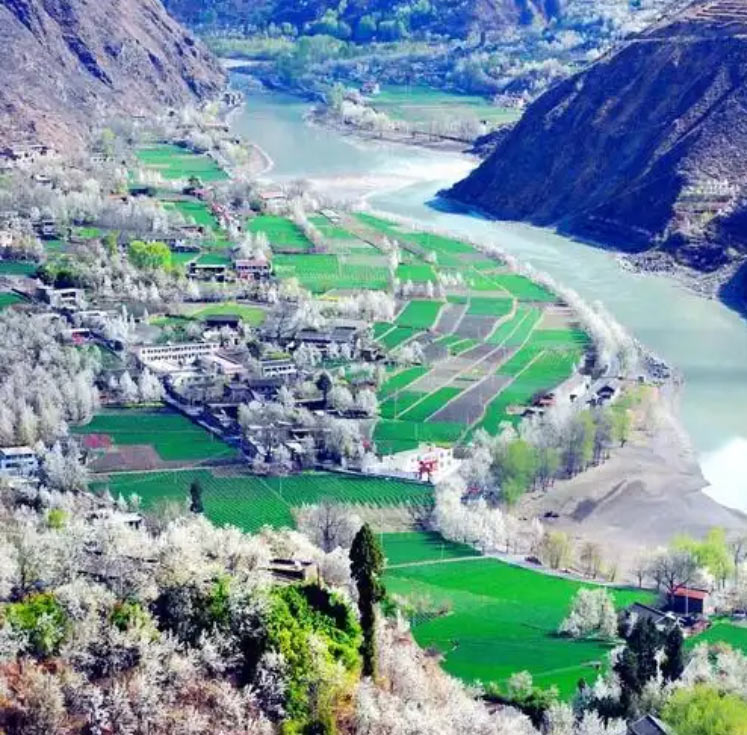 梨花胜景·文旅名片